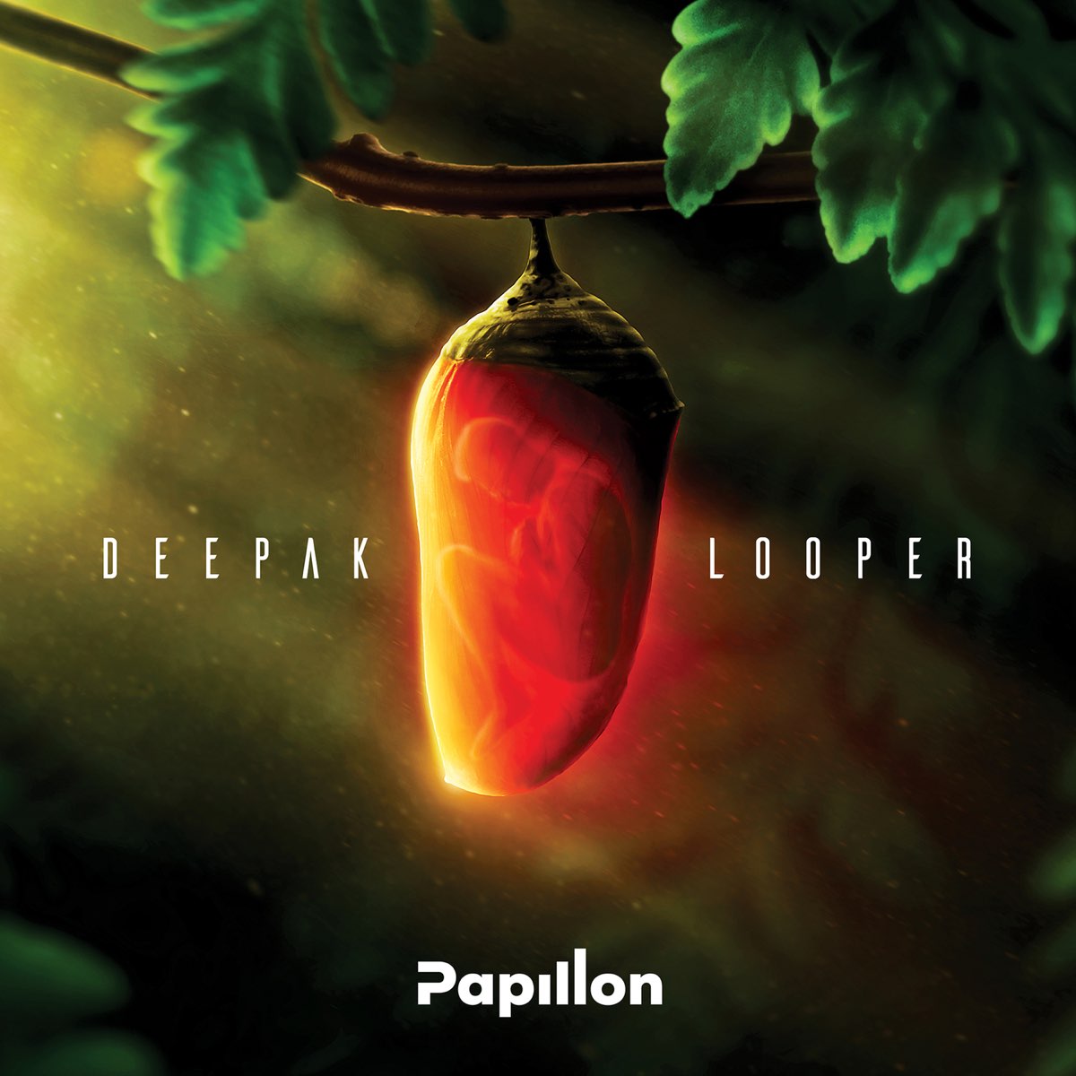 Papillon - Deepak Looper