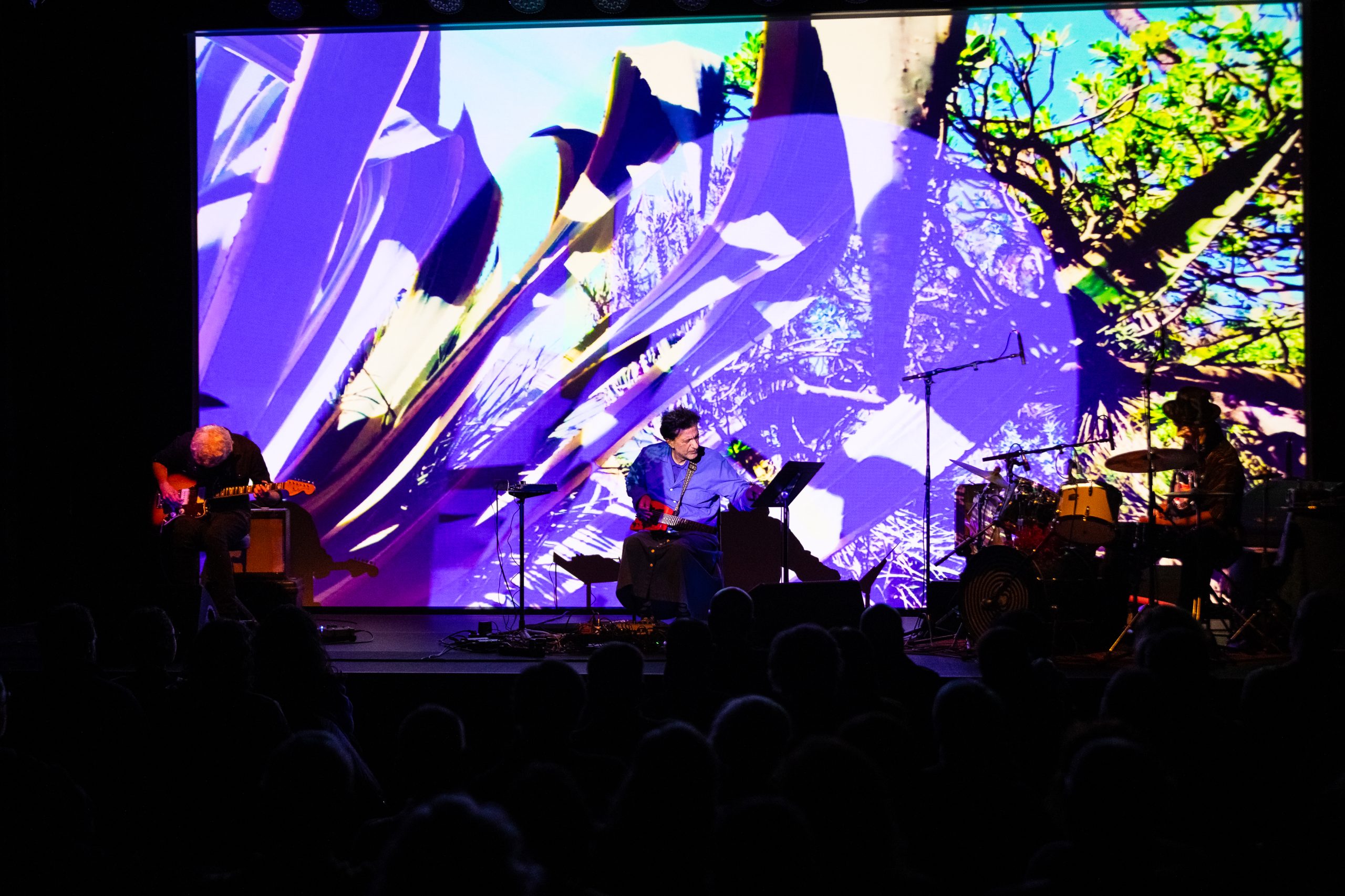 A força gravitacional dos Sweet Violence